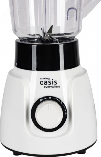 Блендер ОАЗИС ST-60W настольный фото 50678