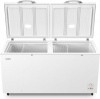 Ларь морозильный GORENJE FH 50 BPW фото 50772