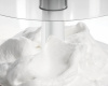 Измельчитель BOSCH MMR08A1 фото 14946