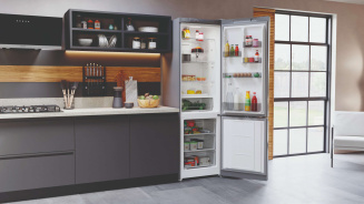 Холодильник HOTPOINT HT 4200 S серебро (FNF) фото 54542