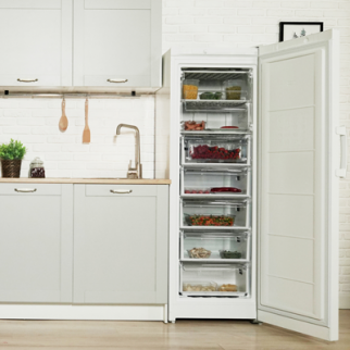 Камера морозильная INDESIT DSZ 5175 (R) фото 47712