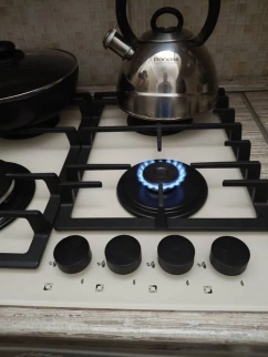 Варочная панель ОАЗИС P-SDI фото 53670