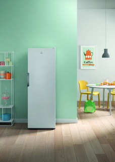 Камера морозильная INDESIT DFZ 5175 (NF) фото 47734