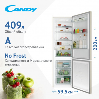 Холодильник CANDY CCRN 6200C фото 47815