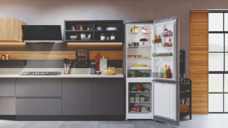 Холодильник HOTPOINT HT 4200 S серебро (FNF) фото 54535