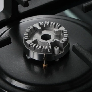 Варочная панель ОАЗИС P-BSG фото 52803