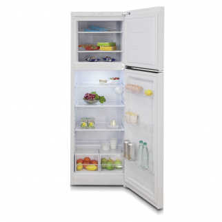 Холодильник БИРЮСА 6039 фото 39877